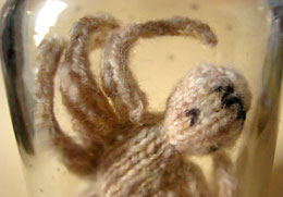 Knitted spider in a jar