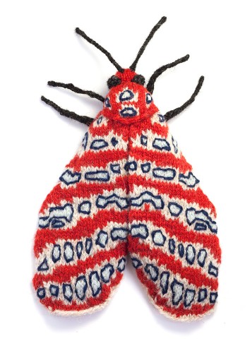 tatargina-picta-moth