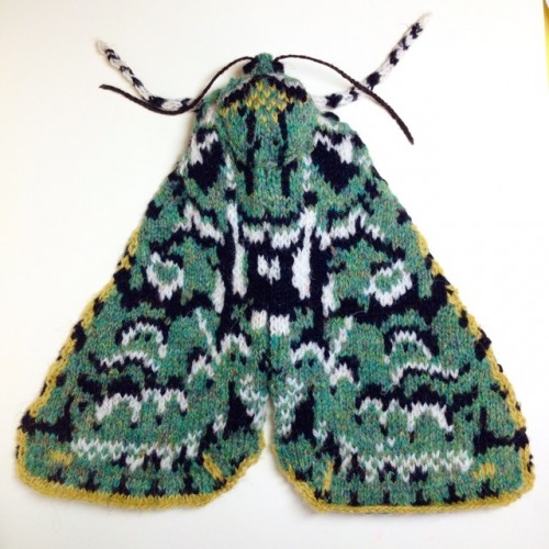 Knitted Merveille du jour moth