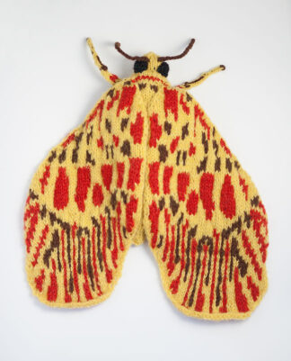 Footman Moth (Miltochrista striata)