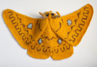 Squeaking Silk Moth (Rhodinia fugax)