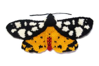 Cream Spot Tiger Moth - Arctia villica