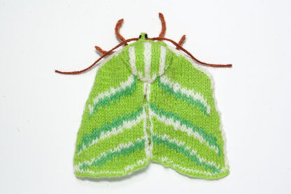 Green Silverlines Moth (Pseudoips prasinana)