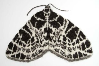 Netted Carpet Moth - Eustroma reticulatum