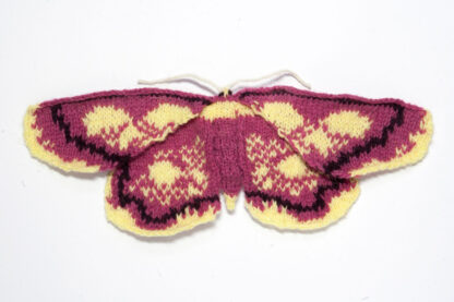 Purple-bordered gold moth (Idaea muricata)