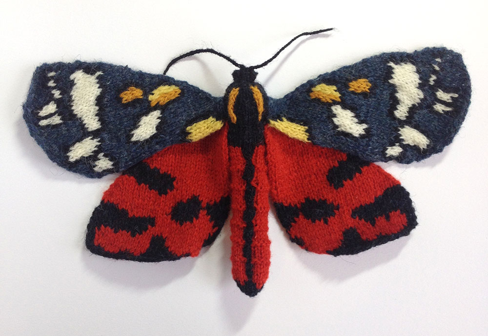 Scarlet Tiger Moth (Callimorpha dominula)