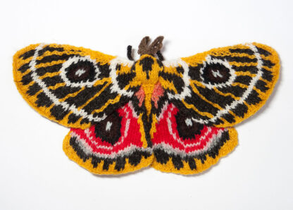 Zaddach's Emperor Moth (Buaneopsis oubie)