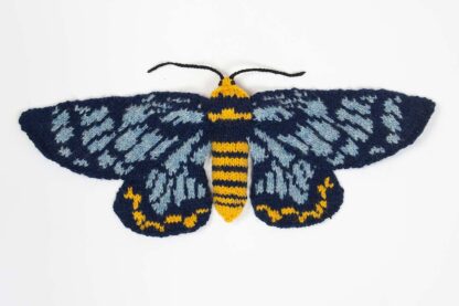 Knitted Blue & Yellow moth.