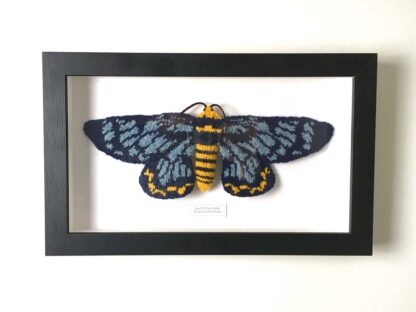 Knitted Blue & Yellow moth.