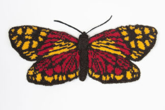 Knitted Fiery Campylotes Moth