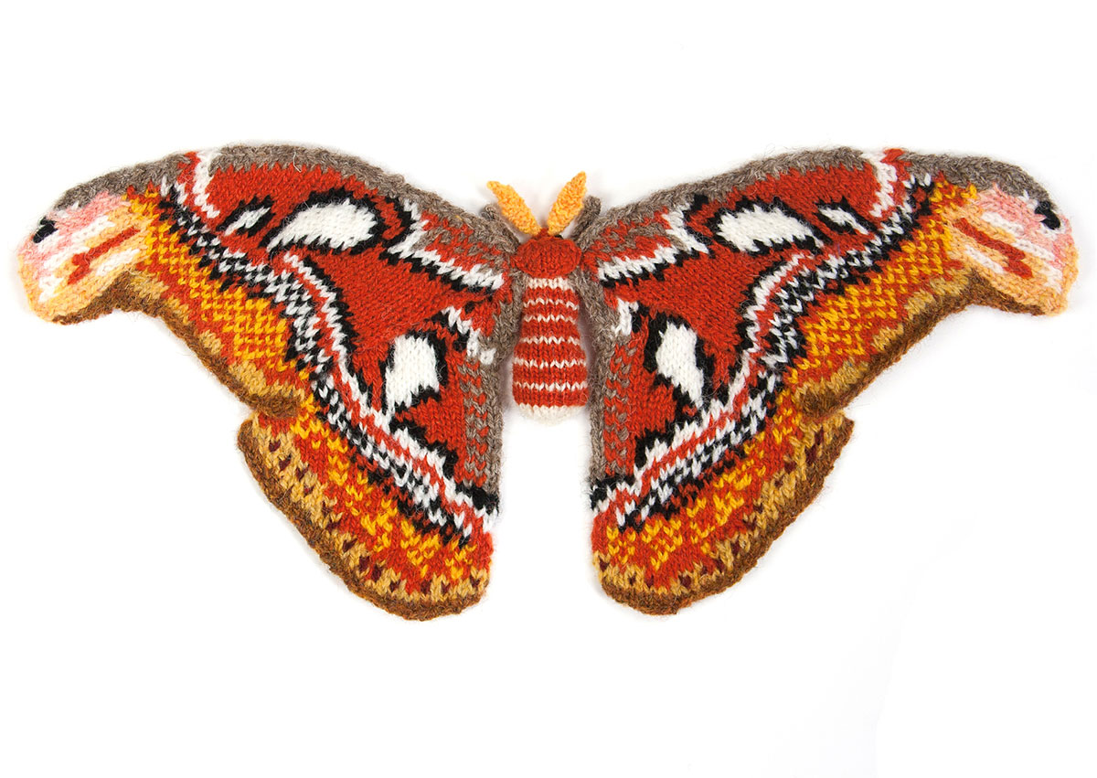 Knitted Atlas Moth