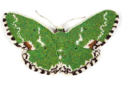 Knitted Blotched Emerald Moth