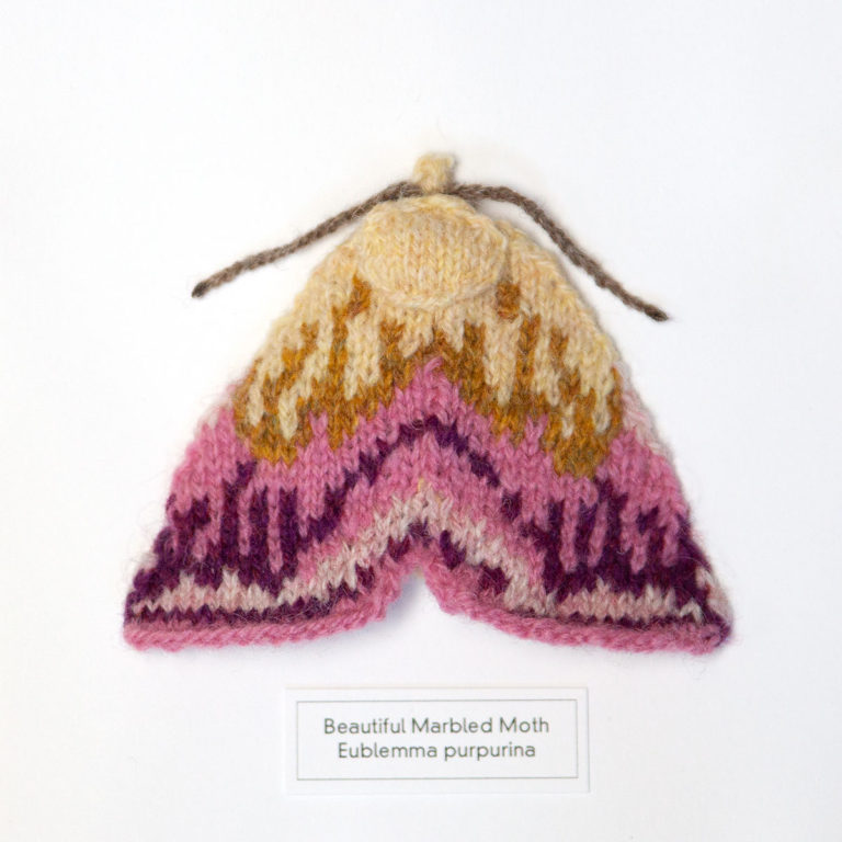 Melt the lady moth orchid mini knitの+spbgp44.ru