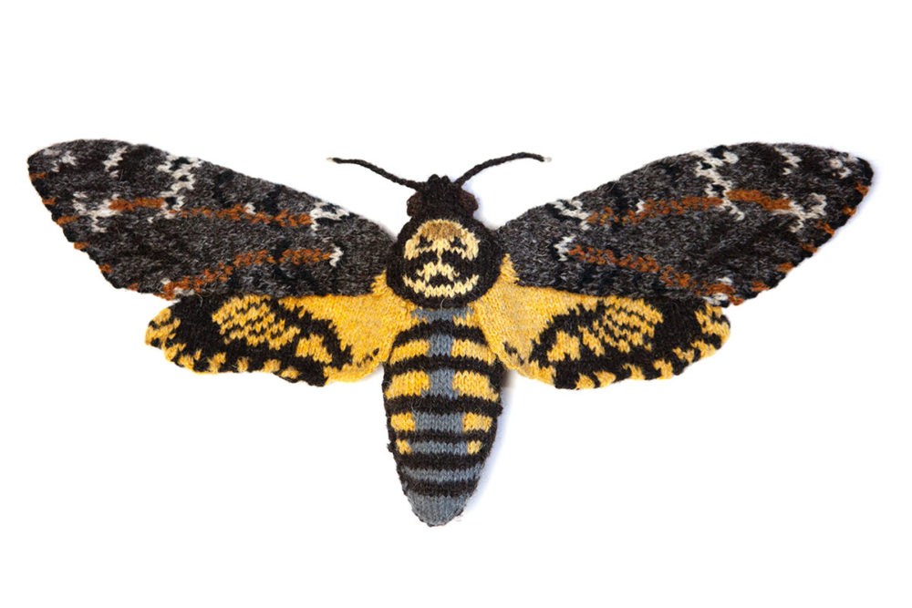 Knitted Death's Head Hawkmoth