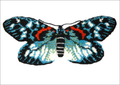 Burnet Moth - Erasmia Pulchella