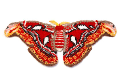 Knitted atlas moth