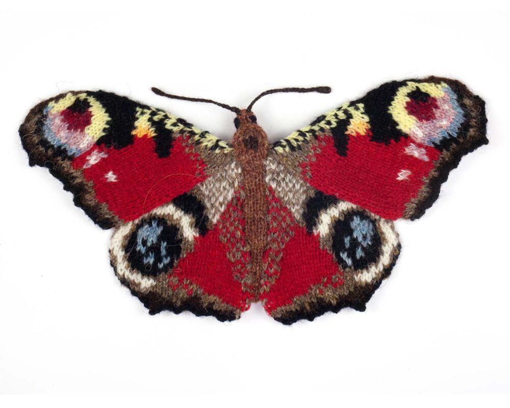 red butterfly with brightly coloured eyespots on all 4 wings