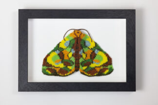 A knitted moth in a dark fram, it has an abstract pattern in the colours of autumn leaves