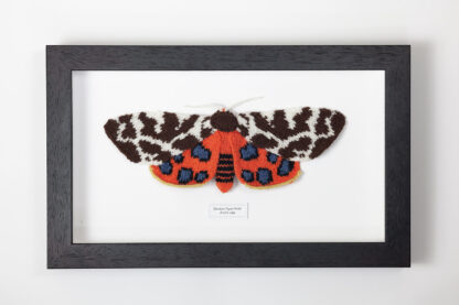 A knitted moth in black frame. The Upper wings are a patchwork of brown and white. The under wings are bright orange with 5 blue and black spots