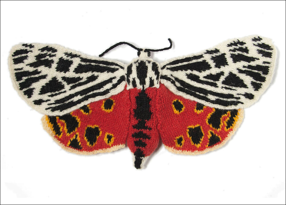 Knitted moth with black and white upper wings and red under wings with black spots